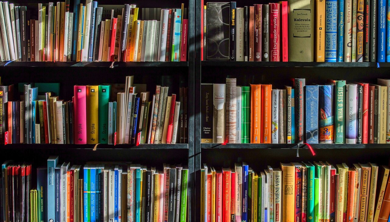 Shelf full of books.