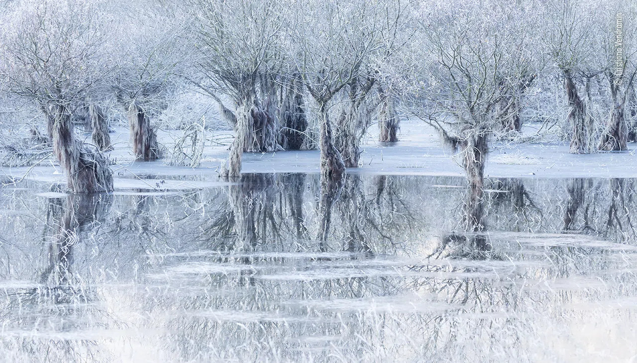 'Frozen Lake,' by Cristiano Vedramin, winner of the Wildlife Photograph of the year