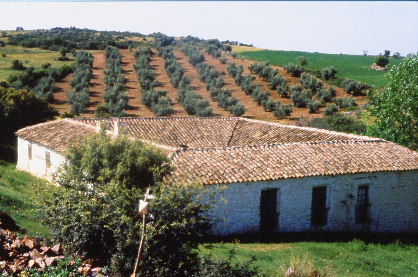 Típica finca en Sierra Morena. Photo: Wikipedia