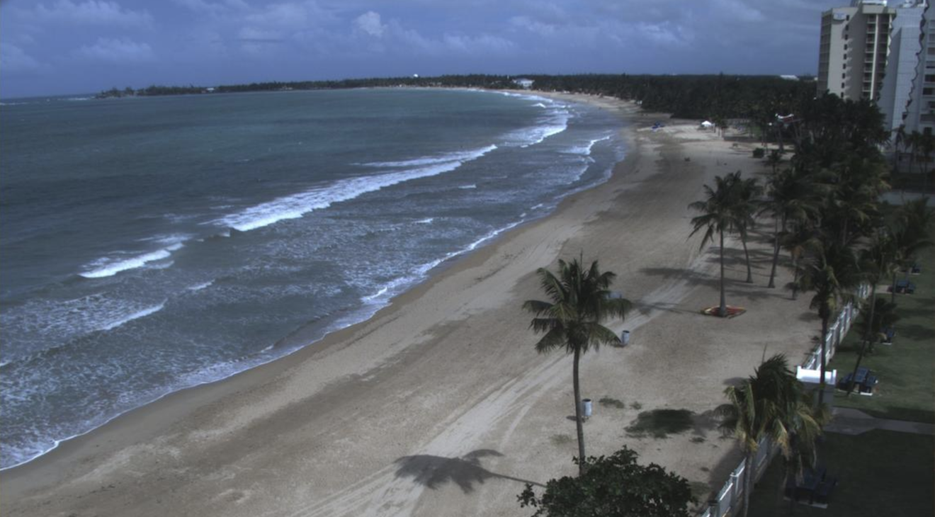 A video snapshot overlooking Isla Verde, where D'Monte was discovered on Feb. 25. Photo: Pacific Coastal and Marine Science Center.