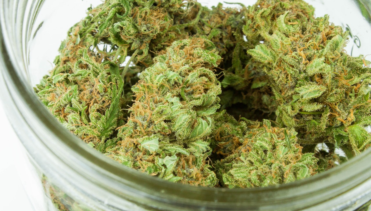 PA is trying to legalize growing your own pot stash for medicinal purposes. Photo: Unsplash