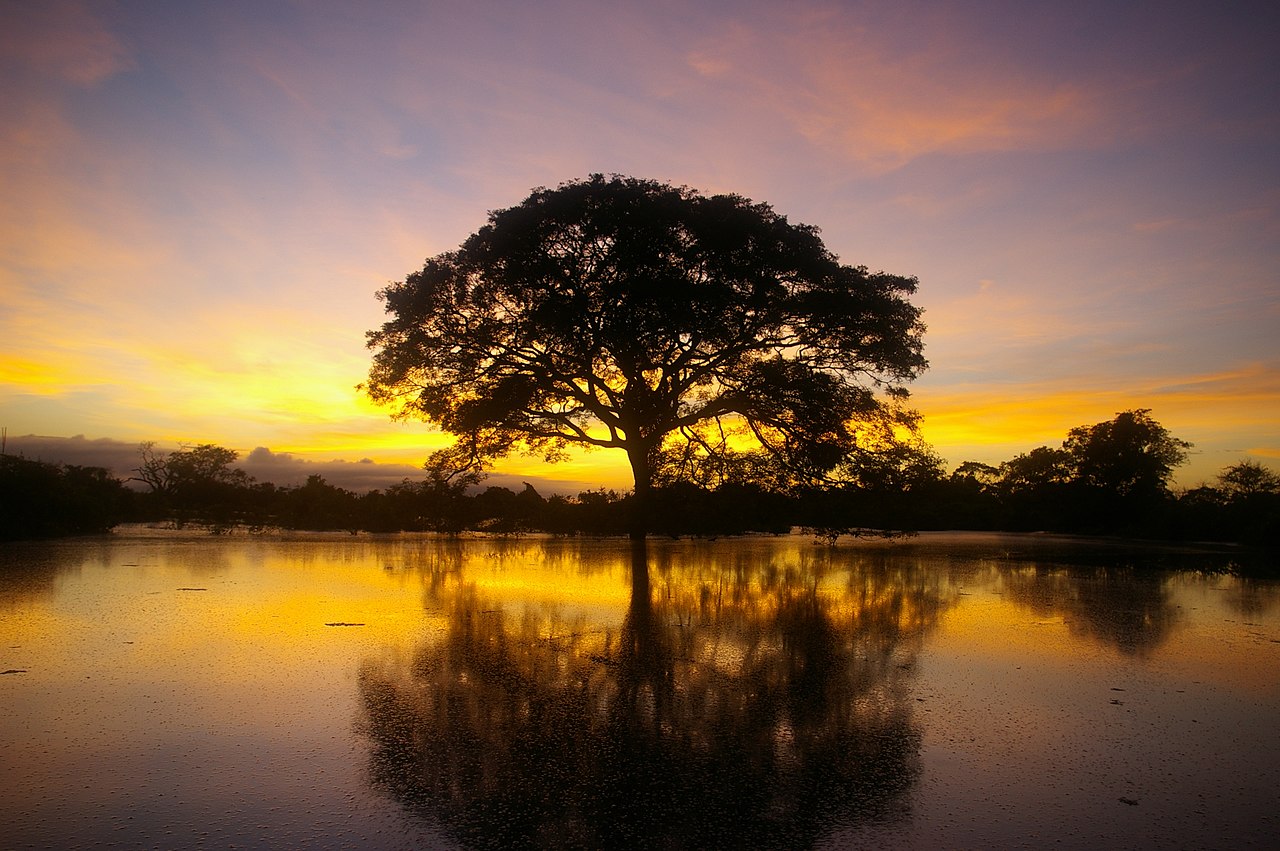 Amazon river in Bolivia. Photo: Wikipedia