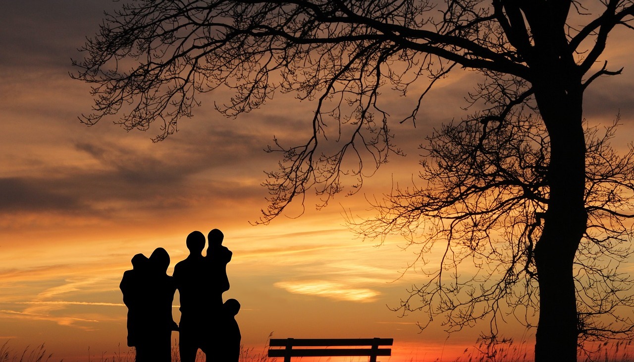 Family watching the sunset next to a bench and a tree.