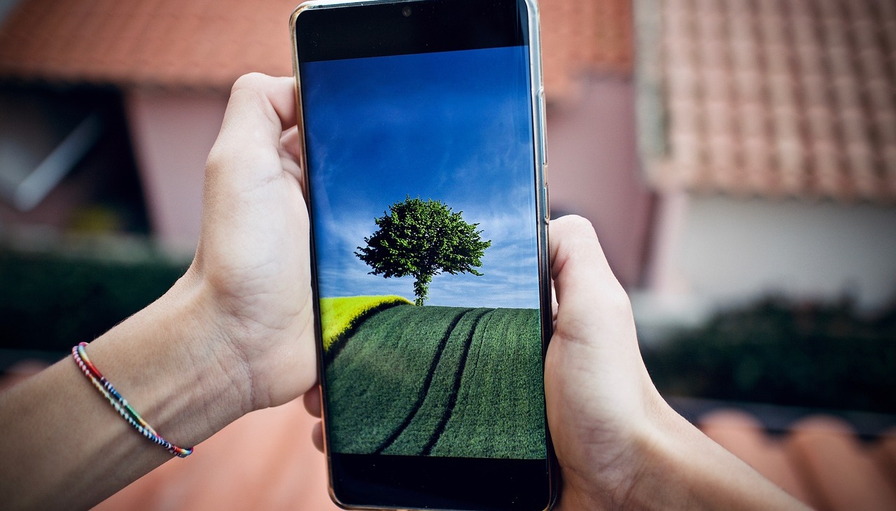 A person holds a cell phone displaying a tree picture. 