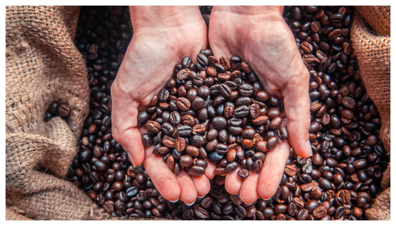 A pair of hands holds coffee beans over a basket filled with coffee beans.