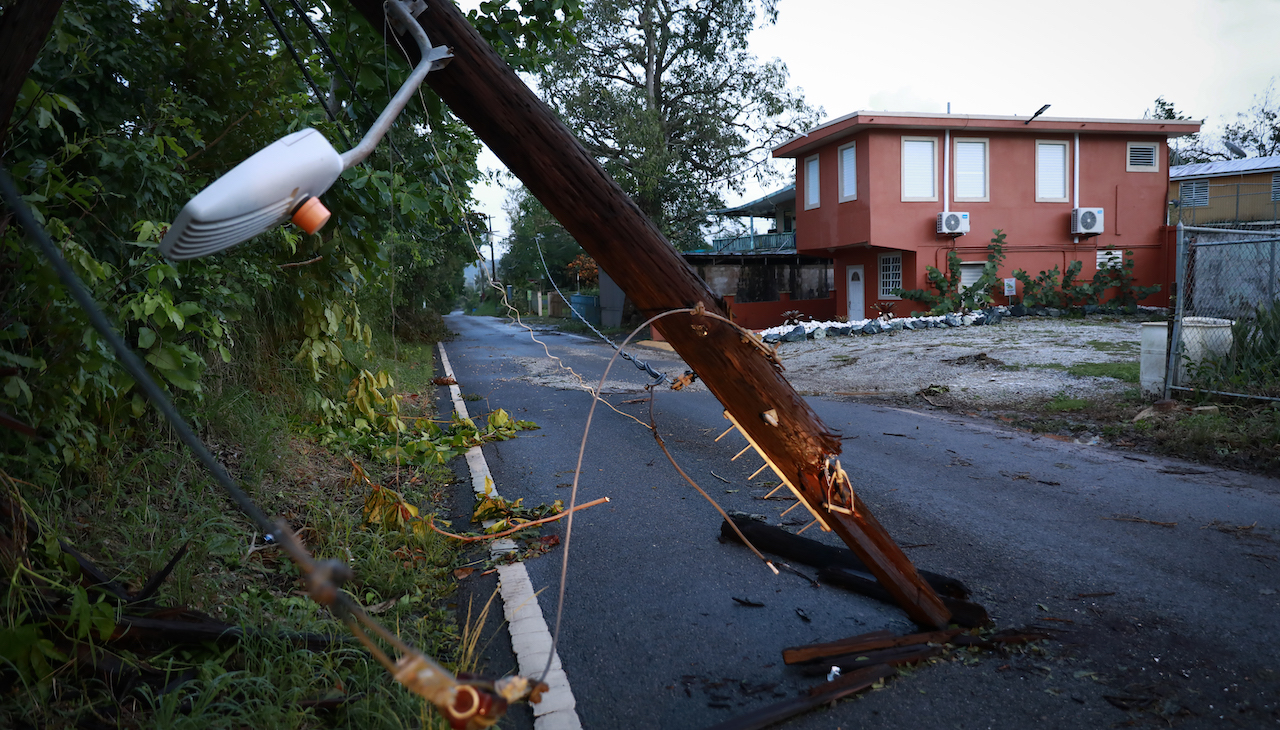 Pictured: Torn down power lines in rural Puerto Rico