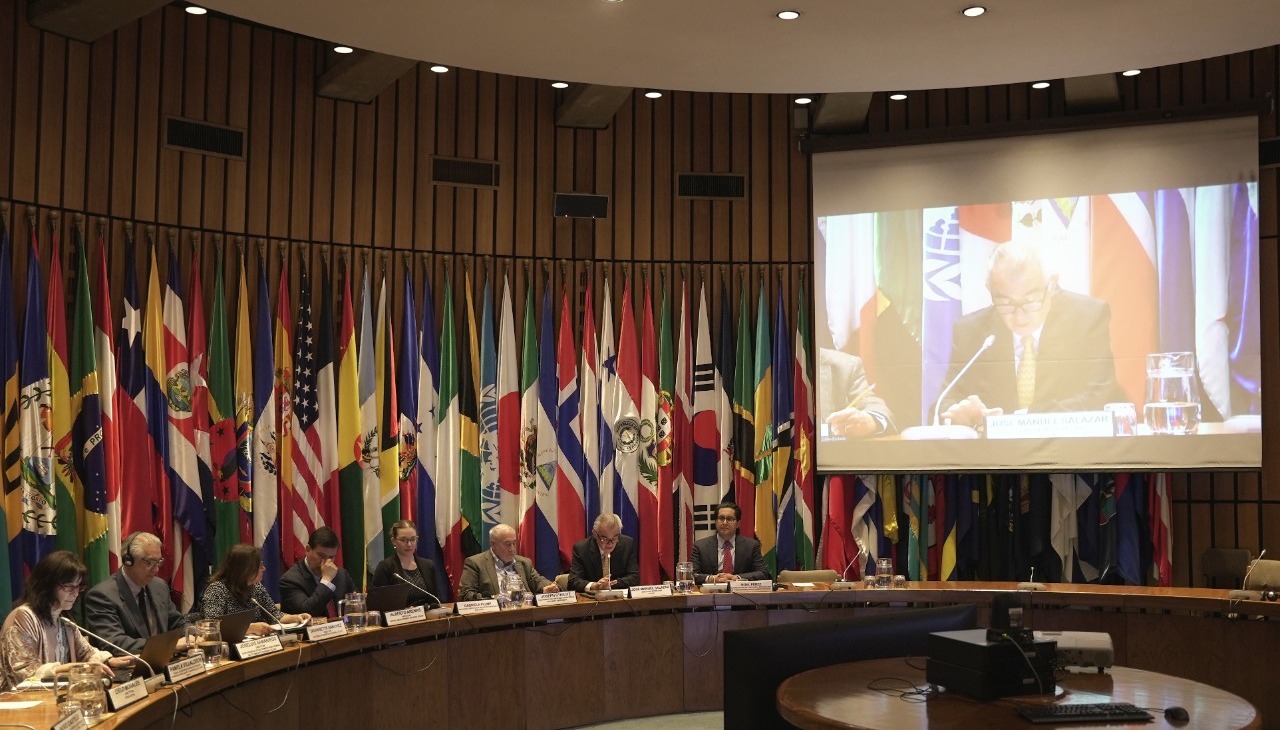 ECLAC round table. 