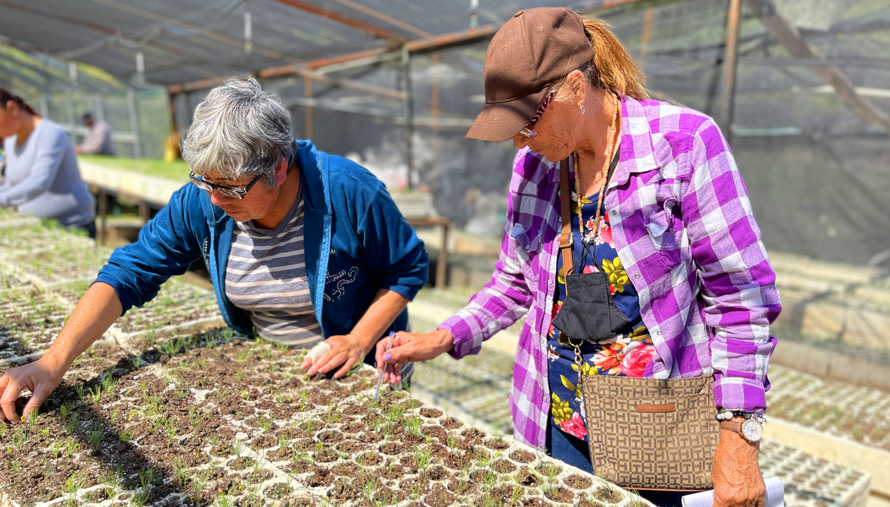 Mary Kay reforestation efforts in Monterrey, Mexico. 