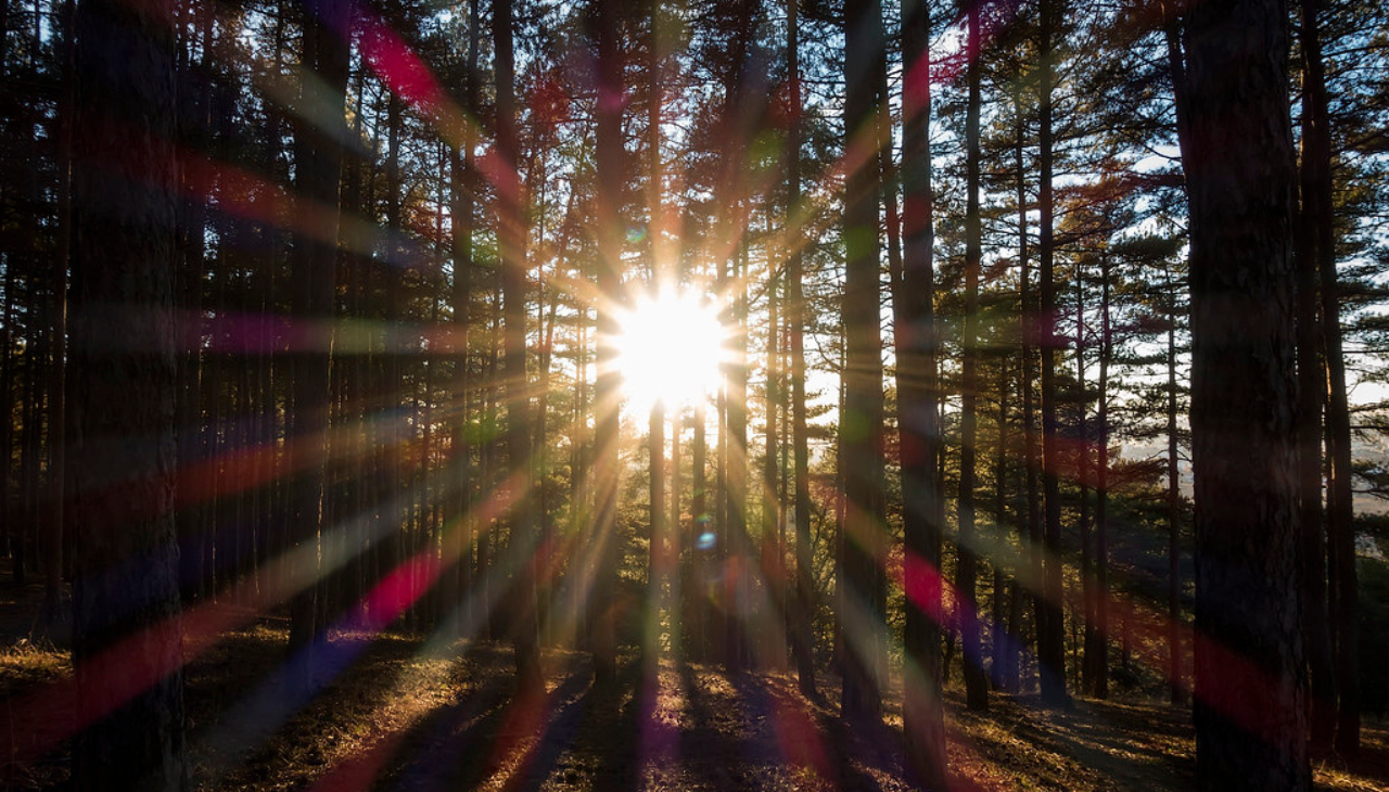 The winter solstice occurs almost every December 21st of each year. Photo: Flickr