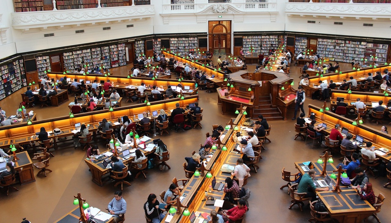 University's library. 