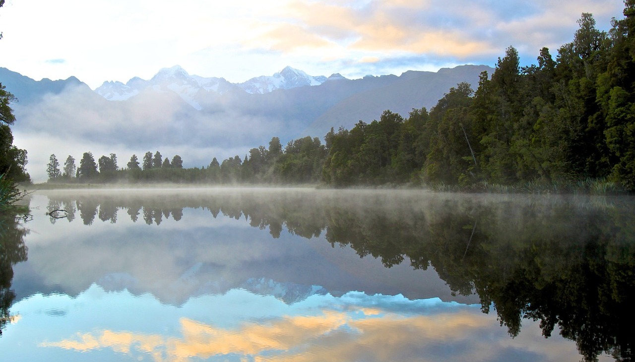 Lake next to a forrest. 