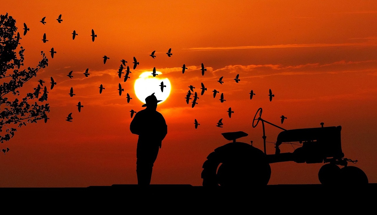 Farmer next to a tractor watching the sunset.