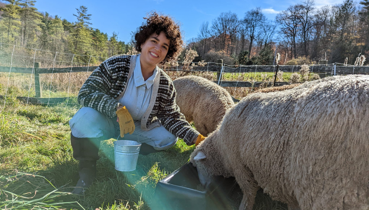 Haydee Borrero of Sheepy Hollow LLC in Ithaca, New York, uses the funds to help manage her flock of American Romney sheep. Photo: Business Wire.