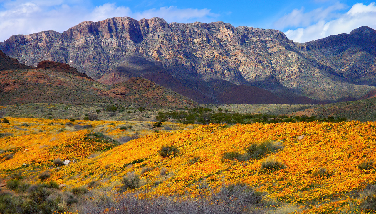 Castner Range, in El Paso, Texas.