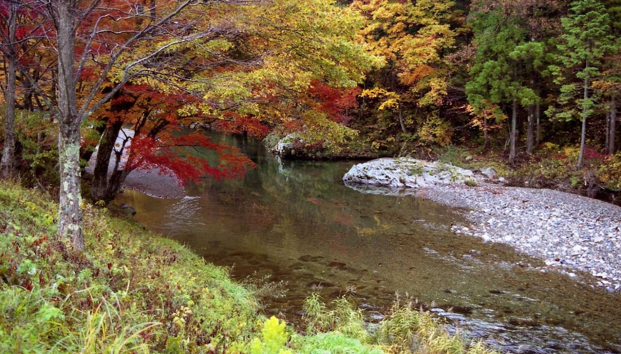 Watershed in a forrest. 