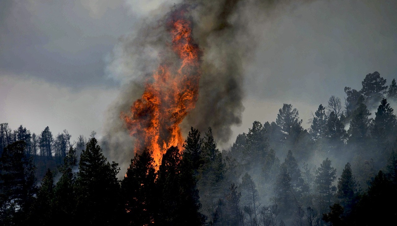 Colorado wildfires.