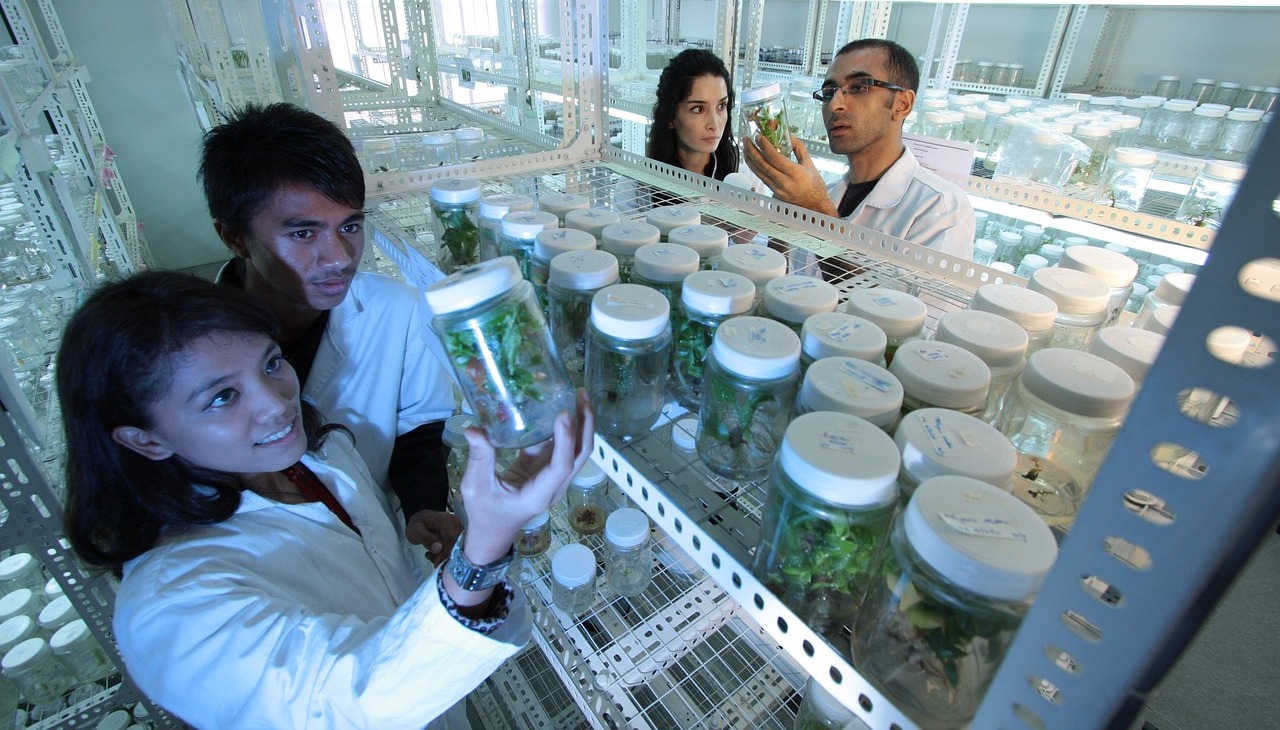 Group of scientists in a laboratory. 