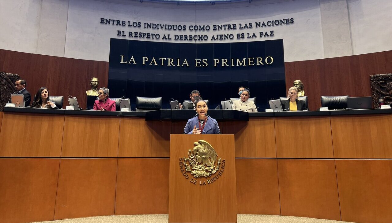 Katya Echazarreta at the Mexican Congress.