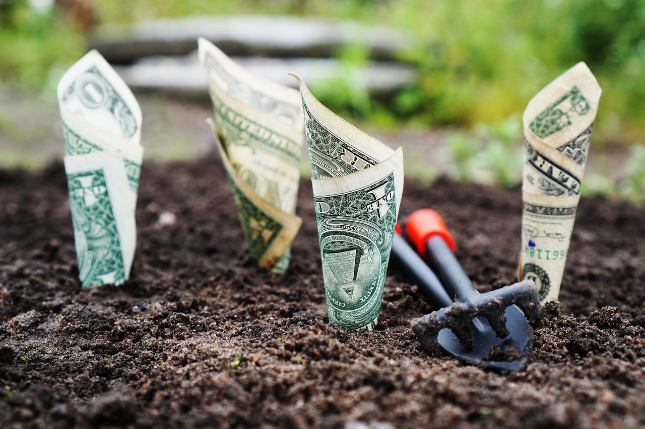 Dollar bills on a dirt field. 