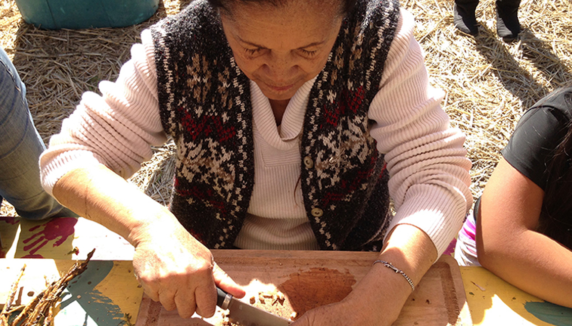 Botanical Bus is using its platform to provide Latinos with natural healing amid the COVID-19 pandemic. Photo Botanicalbus.org