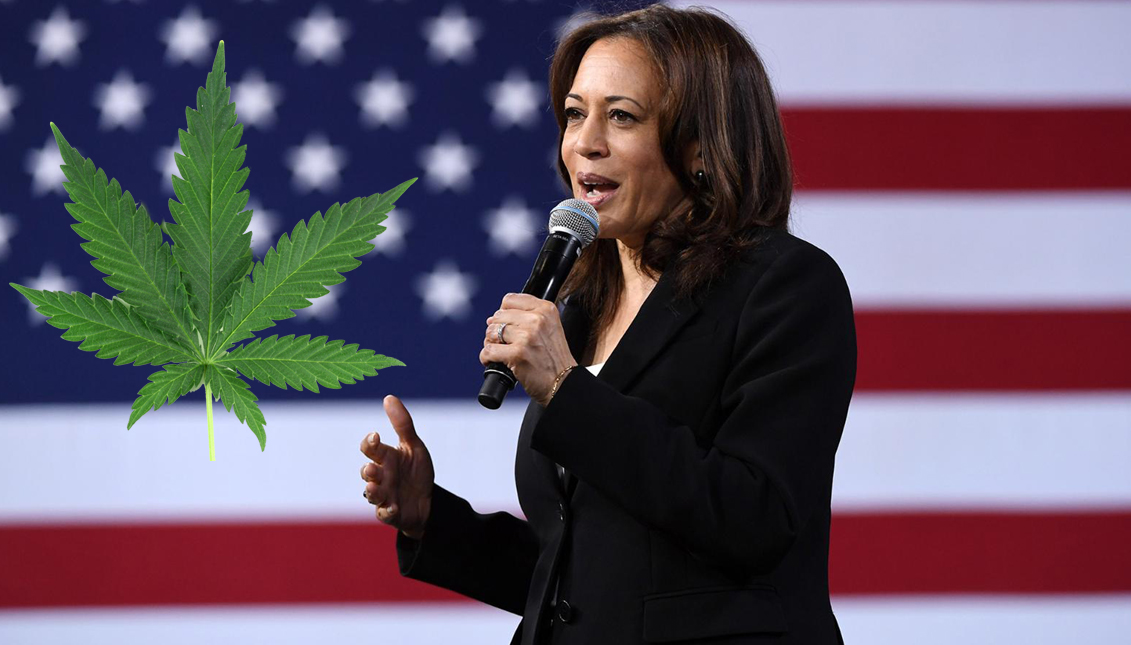 The House is set to vote on a bill that could legalize marijuana in September. Photo: Getty Images
