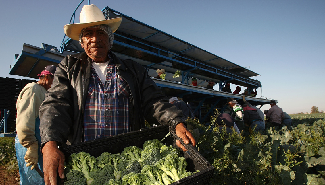 Farm workers have no access to mental health resources. Photo: Getty images.