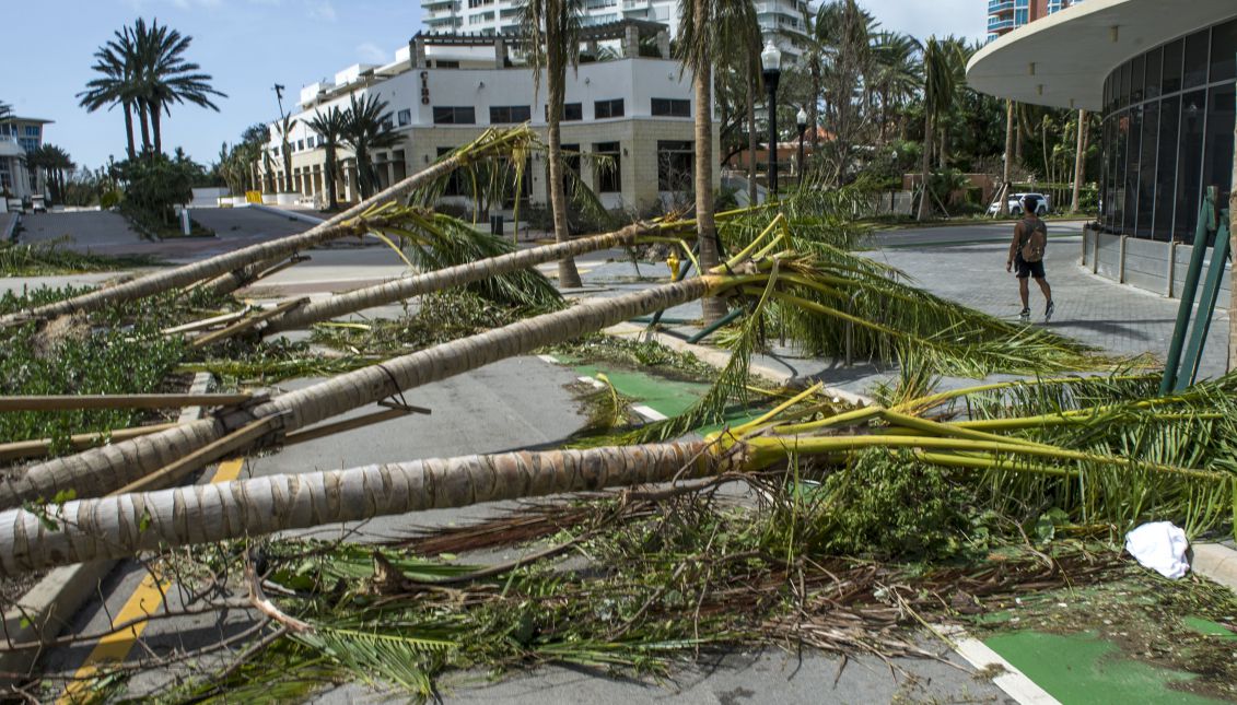 View of fallen trees blocking a street after the passing of Hurricane Irma in Miami Beach, Florida, USA, Sept. 11, 2017. EPA-EFE/Giorgio Viera
