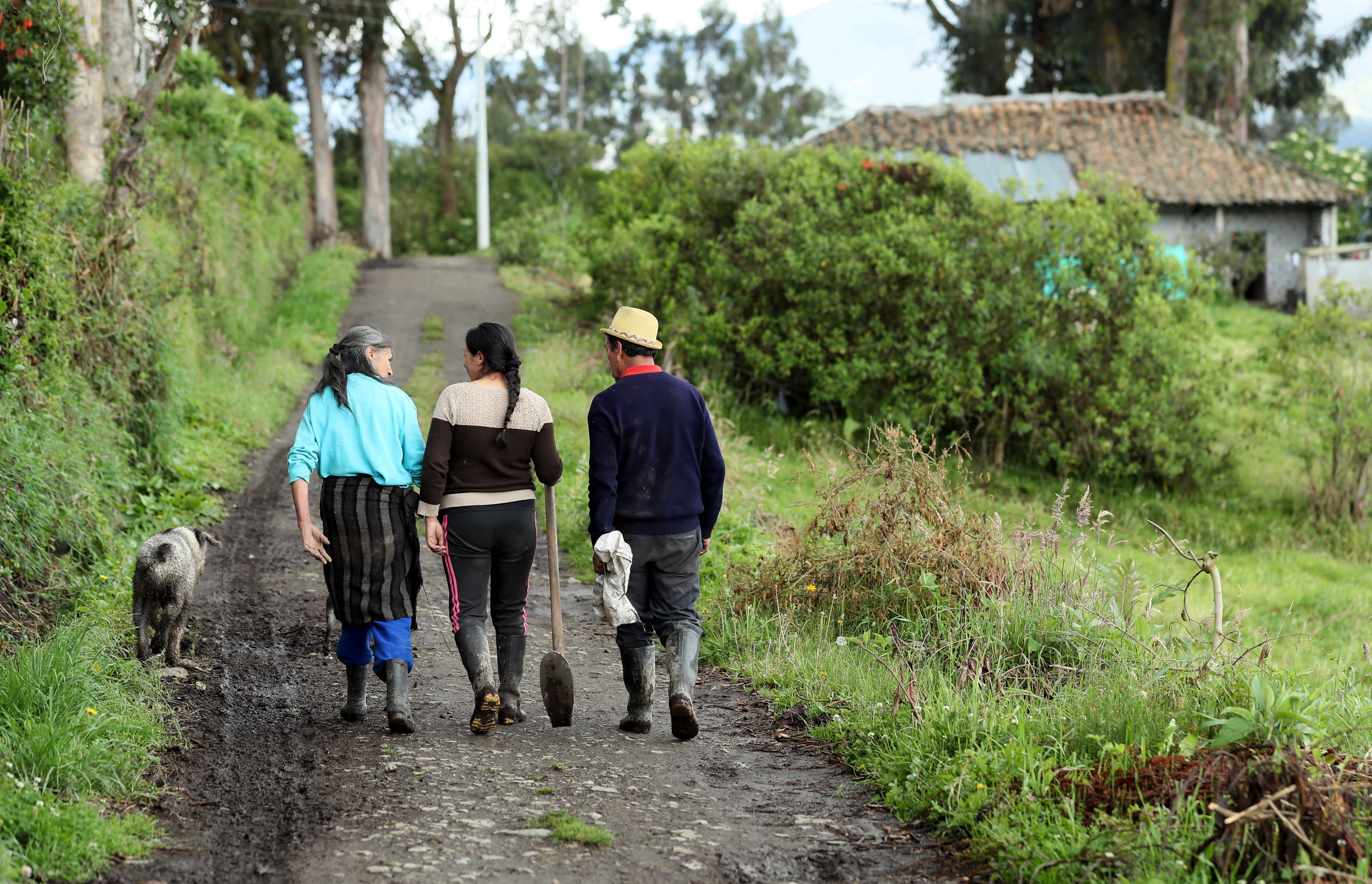 Photo taken April 5, 2018, showing small farmer Ivone Taques (c) after a trip to her potato fields in Gualmatan, Colombia. EFE-EPA/MAURICIO DUEÑAS CASTAÑEDA
