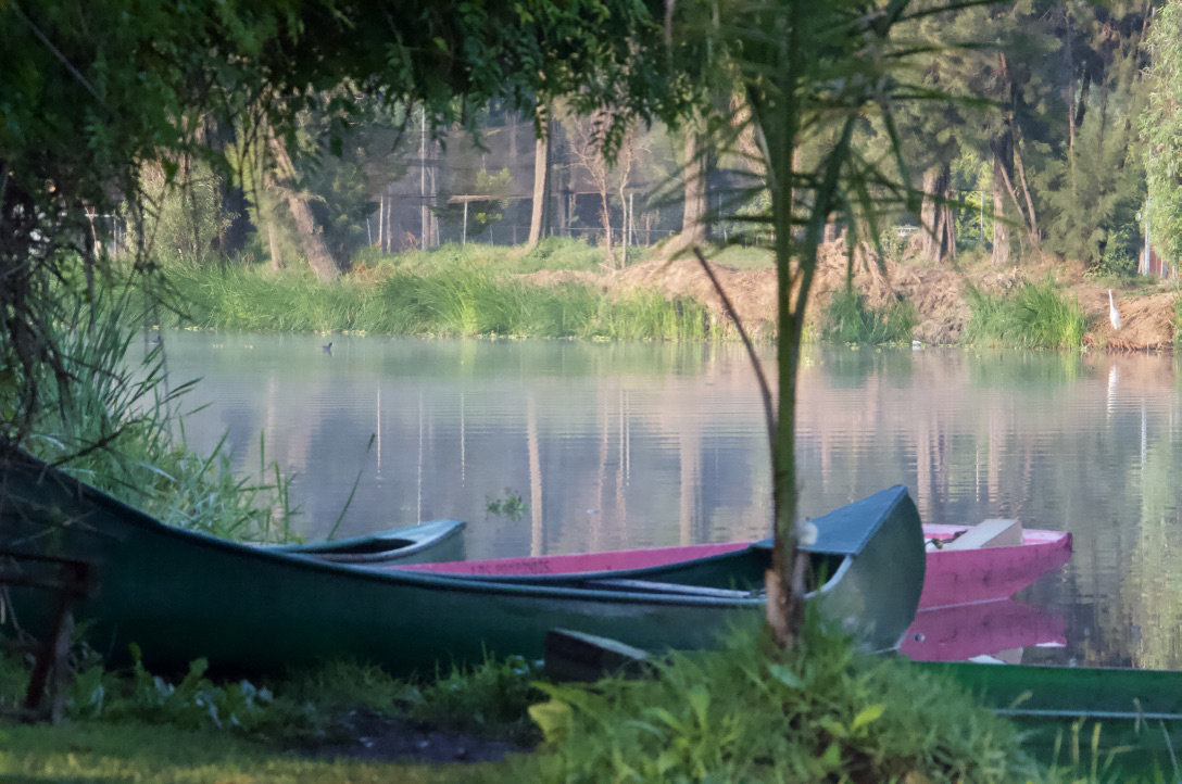 Living in the beautiful natural landscapes of Latin America, like this view of the Xochimilco canals in Mexico City taken April 13, 2018, are indigenous communities that preserve their ancestral cultures, and which attract tourists looking for an internal transformation involving respect for nature and the environment. EFE-EPA/Amalia Cortes
