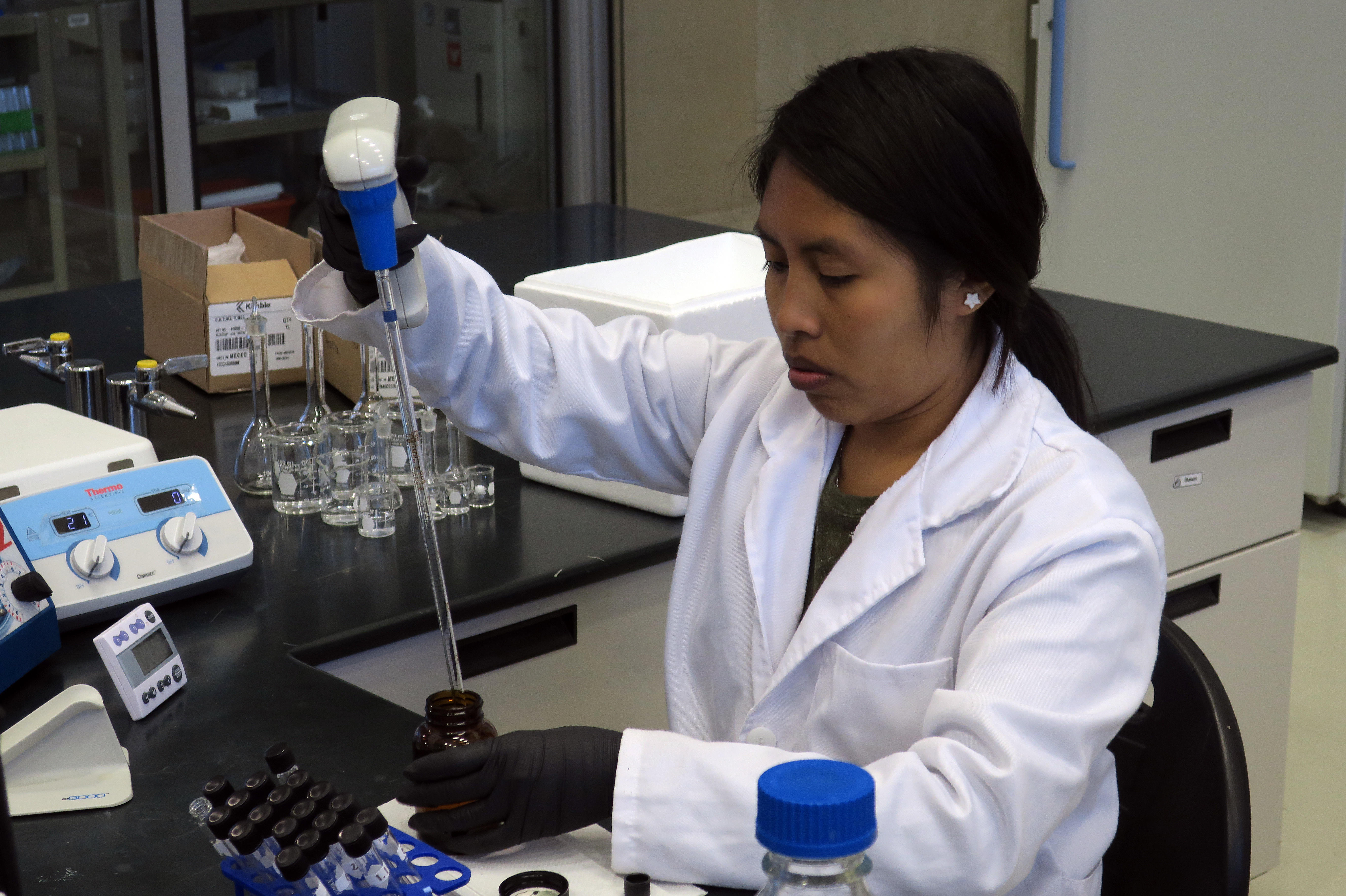 Photograph provided Oct 21 showing a scientist hard at work at the National Center of Genetic Resources (CNRG) in Guadalajara, Mexico, Oct 11, 2018. EPA-EFE/Zoilo Carrillo
