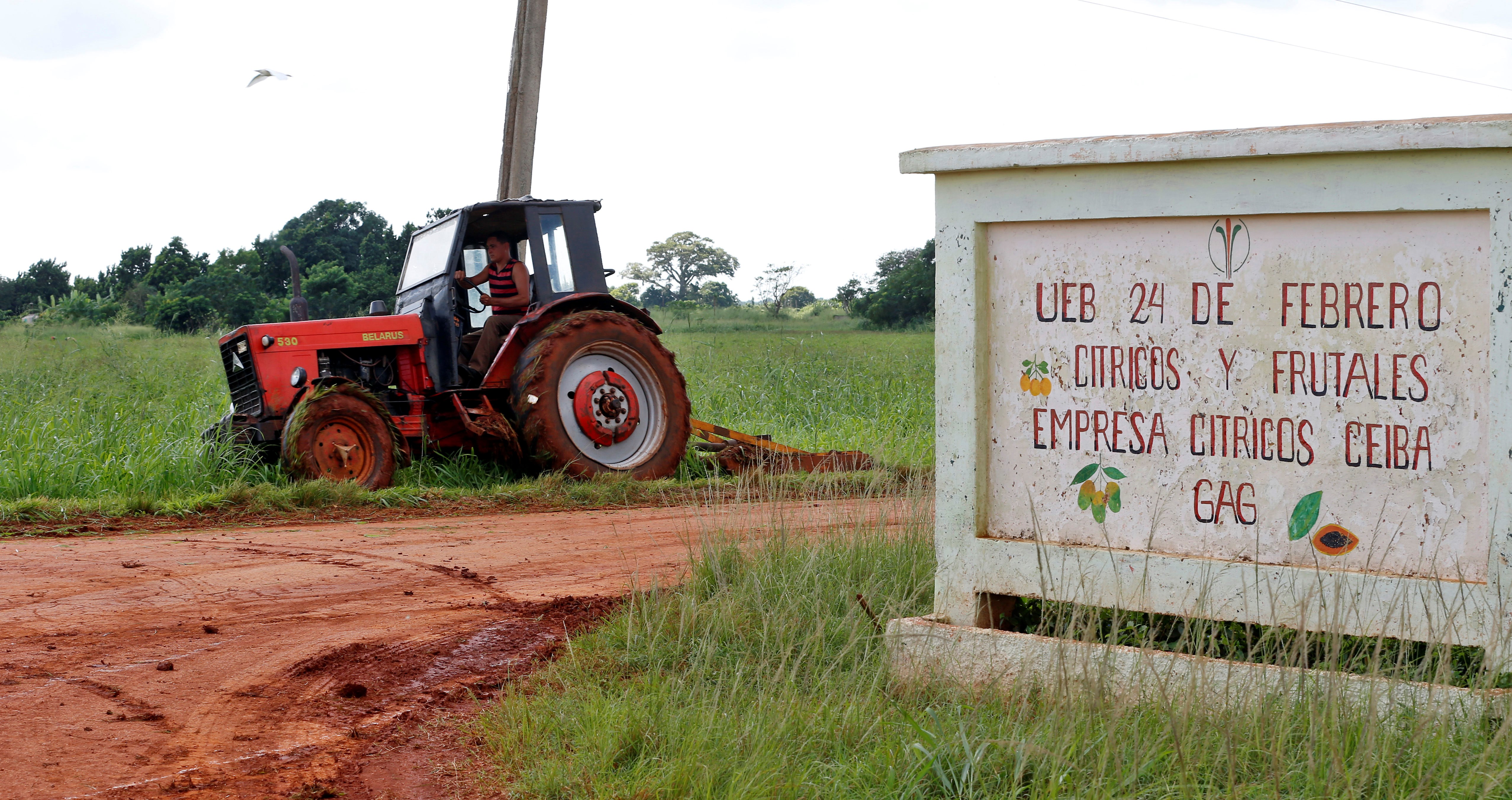 Photograph showing a man working on a tractor in Artemisa, Cuba, Oct 24, 2018. EPA-EFE/Ernesto Mastrascusa