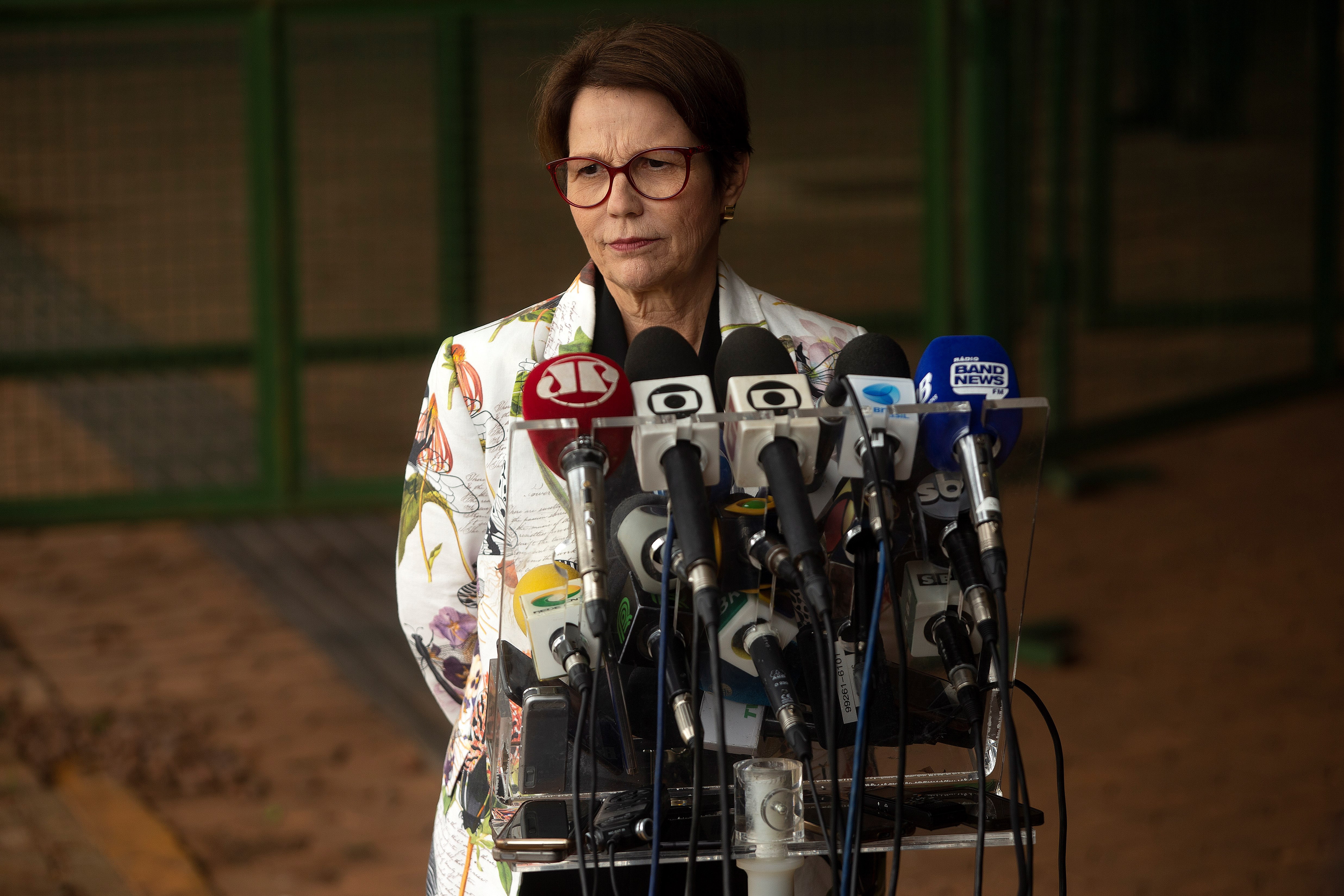 Brazilian future Agriculture Minister Tereza Cristina da Costa delivers a press conference in Brasilia, Brazil, Nov. 8, 2018. EPA-EFE/Joedson Alves