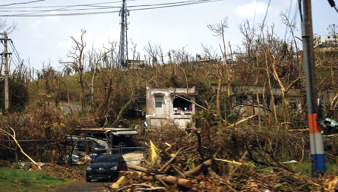 Puerto Rico's landscape in the aftermath of Hurricane Maria. EFE
