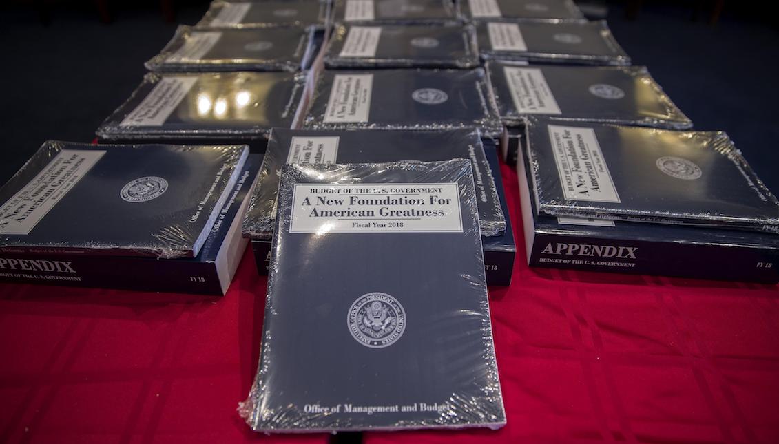 View of several copies of the full budget proposal for 2018 at the Capitol in Washington DC today, May 23, 2017. EFE / Shawn Thew