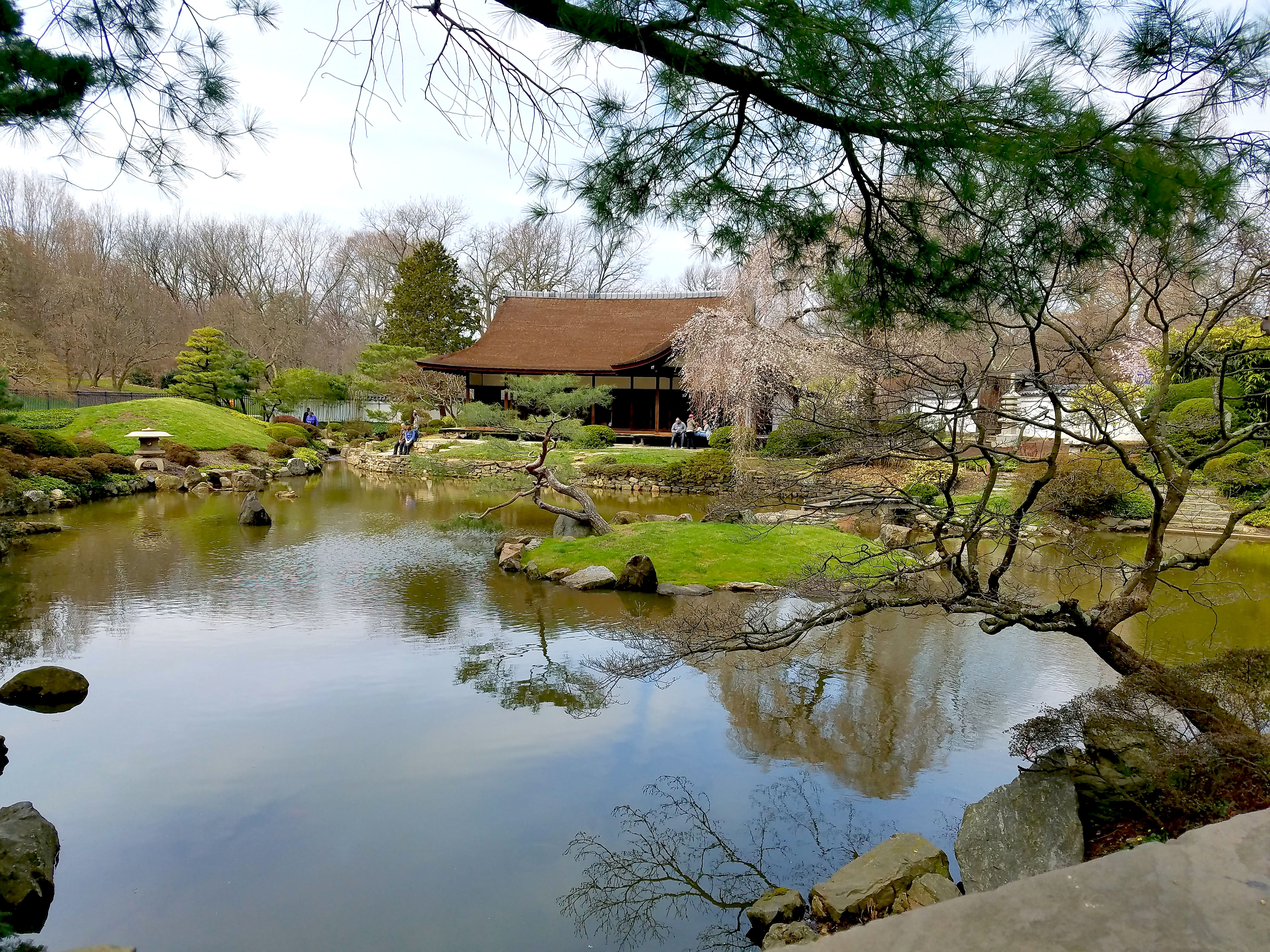 The Shofuso Japanese house consists of a koi pond and island, a tea garden, and a courtyard garden comprise the 17th century-style Japanese walled and fenced garden of this historic site and museum.  Photo: Peter Fitzpatrick/AL DIA News