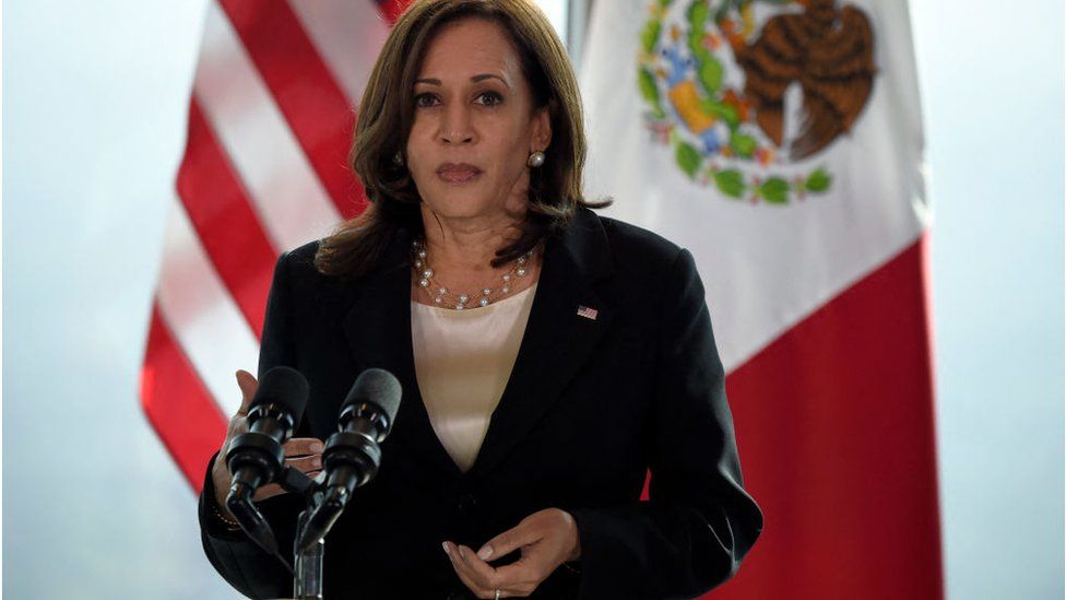 Vice President Kamala Harris at her meeting with Mexican President AMLO in early June 2020. Photo: Getty Images