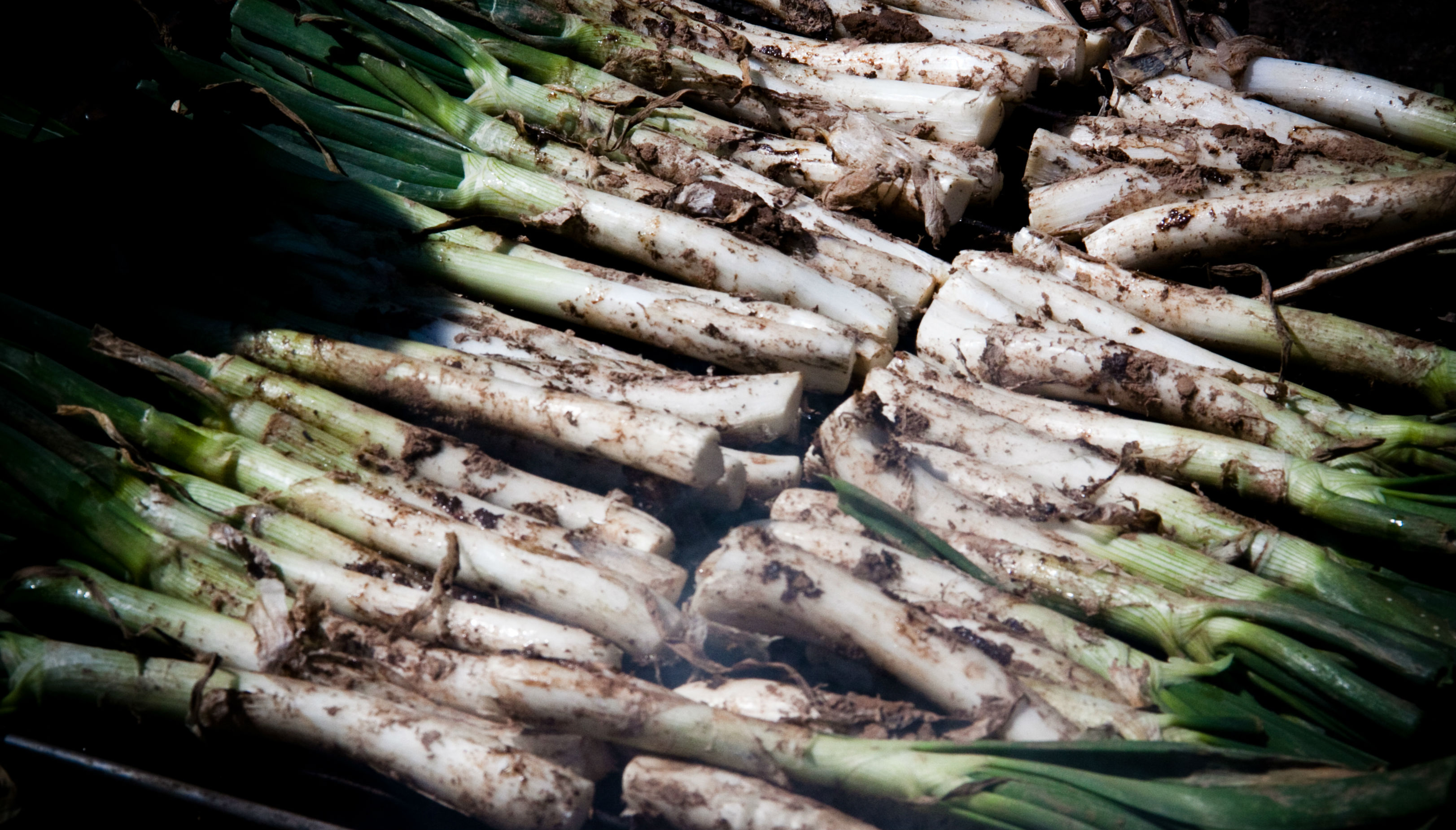 Estas cebollas tiernas son uno de los mayores placeres gastronómicos de Cataluña. Foto: Jake Bellucci