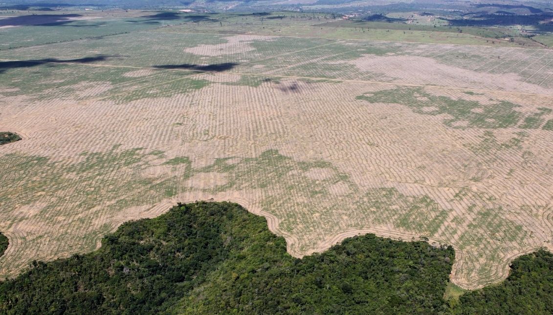 Acres of deforested land in Brazil. Photo: wiki commons