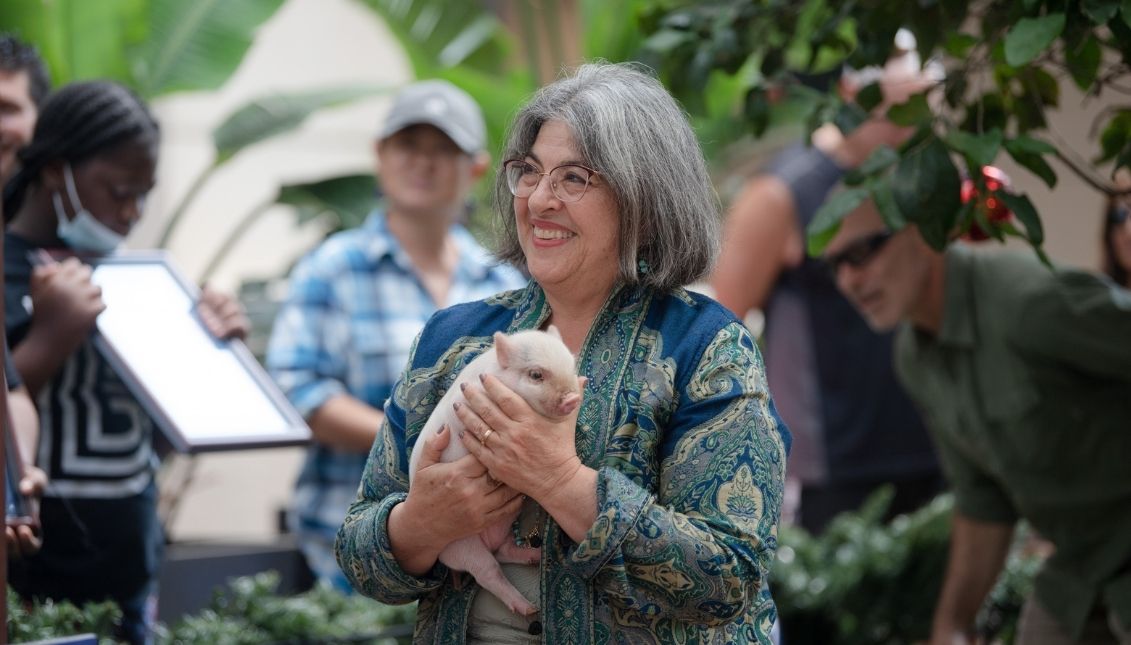 Miami Mayor Daniella Levine Cava with one of the pigs at the ceremony. Photo: Twitter