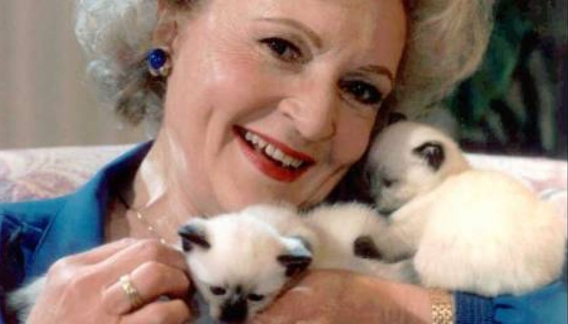 Betty White se caracterizó por su amor a los animales. Foto: Twitter