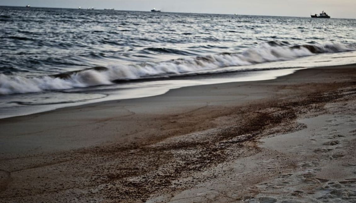 Beaches full of litter due to the oil spill. Photo: Pxfuel