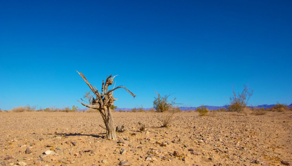 Among the ‘intense weather events’ qualifying as climate change is drought. Photo: Publicdomain.com
