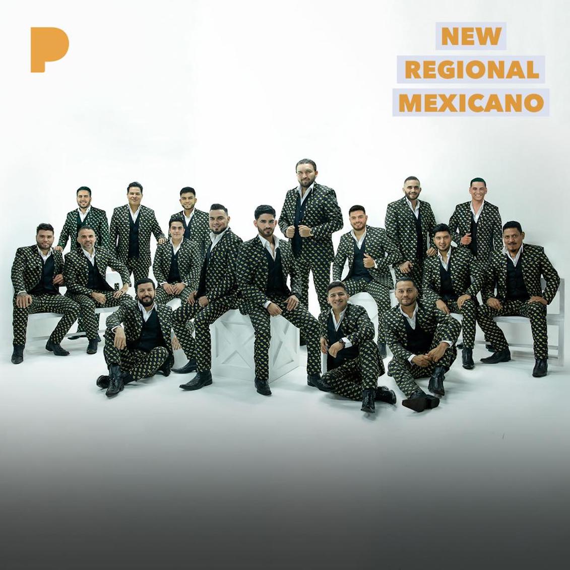 Photo: Esta Vida Es Muy Bonita cover artwork, Banda El Recodo de Cruz Lizarraga