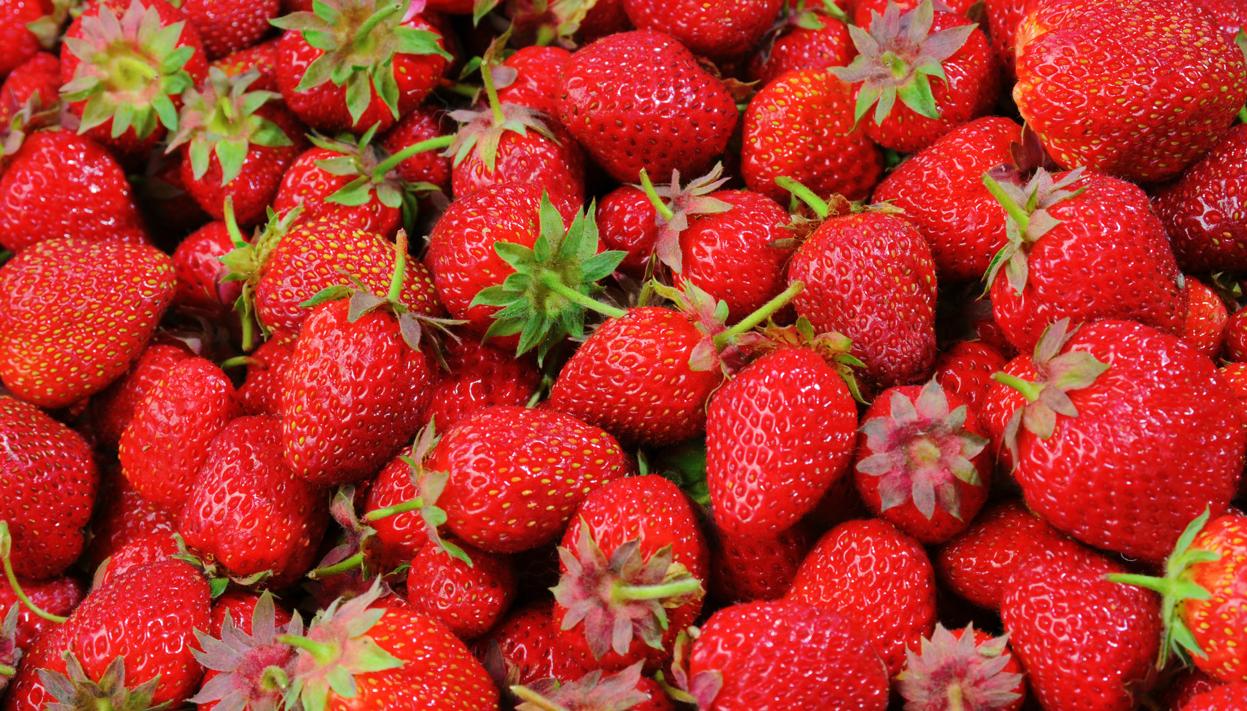 Las fresas son las frutas que más alto porcentaje de pesticidas contienen. Foto: Pixabay
