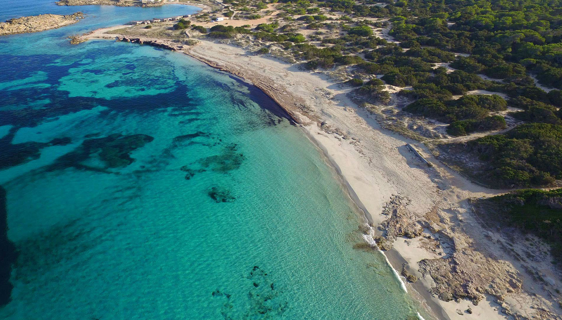 Ses Illetes, una de las playas galardonadas por TripAdvisor. Foto: illesbalears.travel
