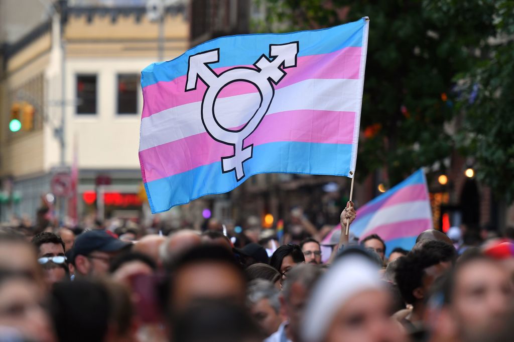 Transgender flag waving in a crowd of protesters. Photo: Angela Weiss/Getty Images