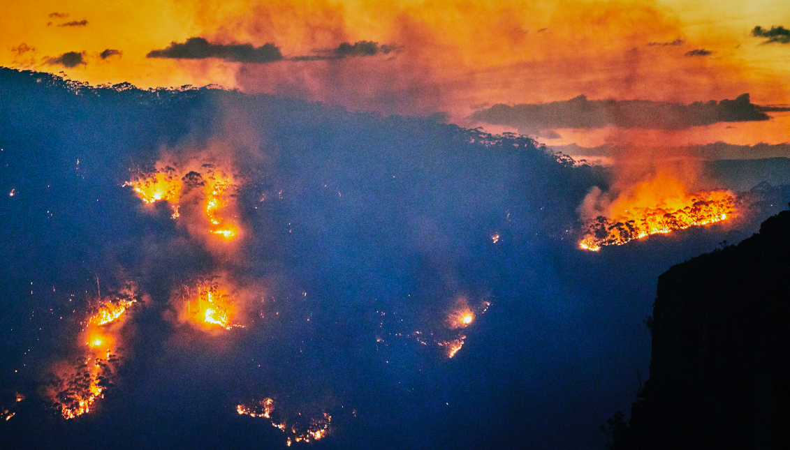 Forest fire, bushfire with flames and smoke in valley at dusk, Blue Mountains, Australia.  Getty Images.