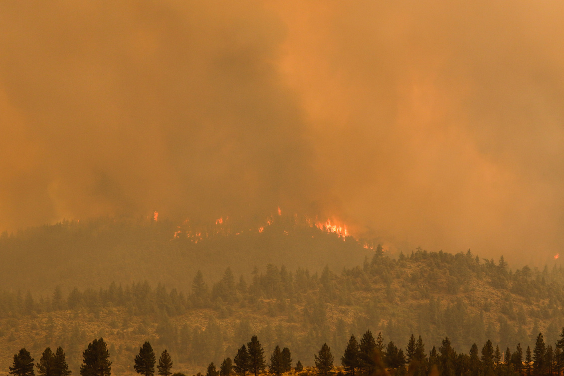 The Tamarack fire burns unchecked due to drought conditions and gusty winds. The Tamarack fire continues to burn through more than 21,000 acres and is currently 0% contained. Photo: Ty O'Neil/SOPA Images/LightRocket via Getty Images