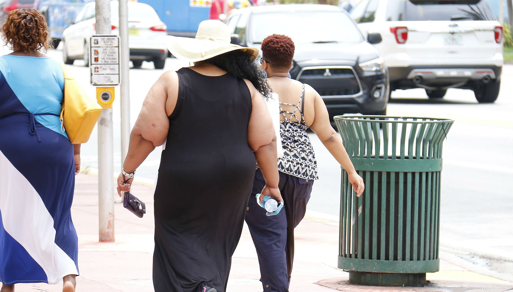 La obesidad es un problema para los países desarrollados. Foto: Taniadimas
