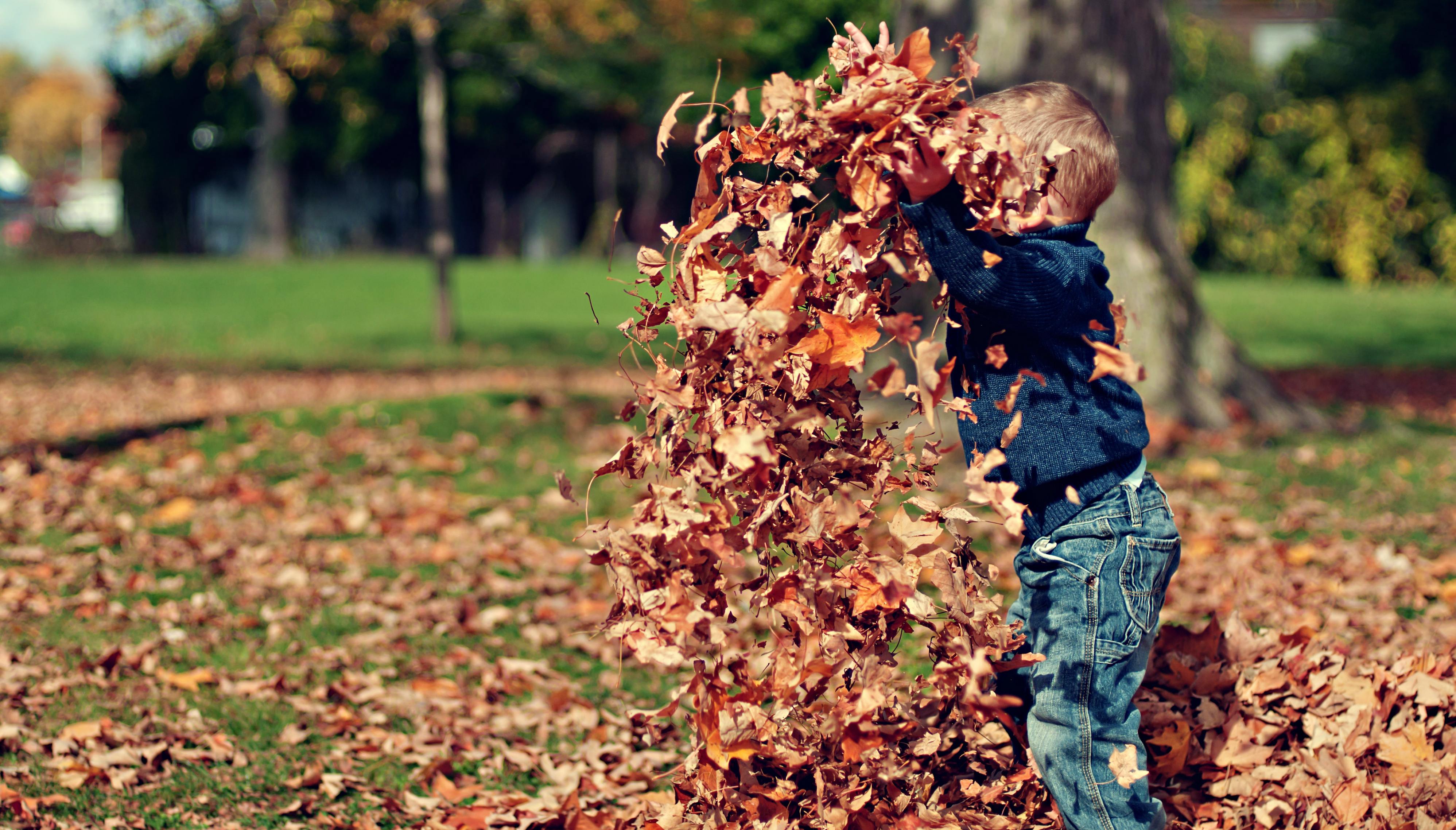 El otoño es una buena época para disfrutar de la naturaleza. Foto: Scott Webb 
